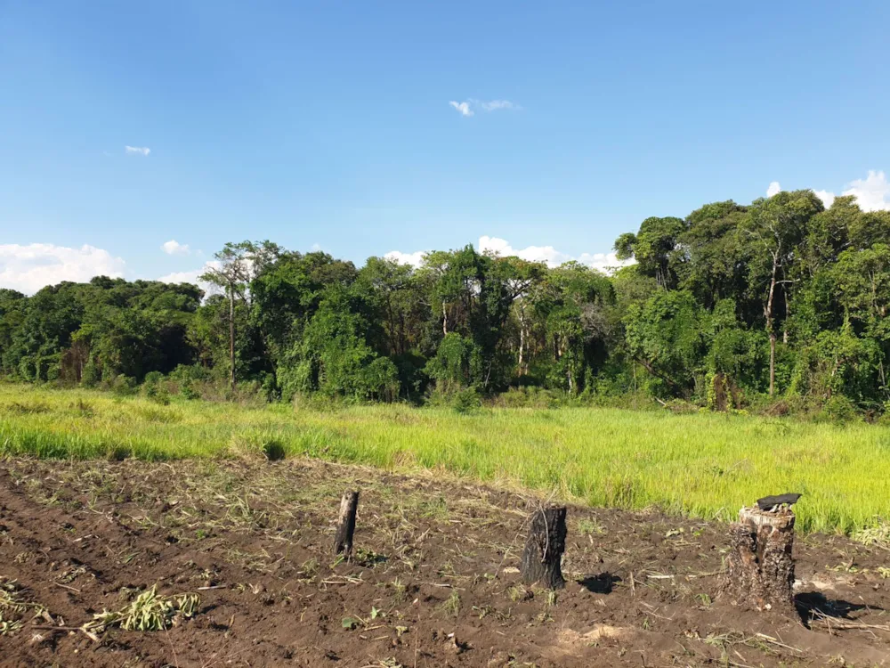 Farm vacant land for sale in Solwezi, Zambia - 3ZA1555274