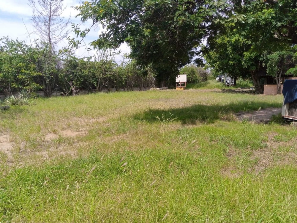 Commercial vacant land to rent in Matola, Mozambique - 3MQ1555893 Commercial vacant land to rent in Matola, Mozambique - 3MQ1555893