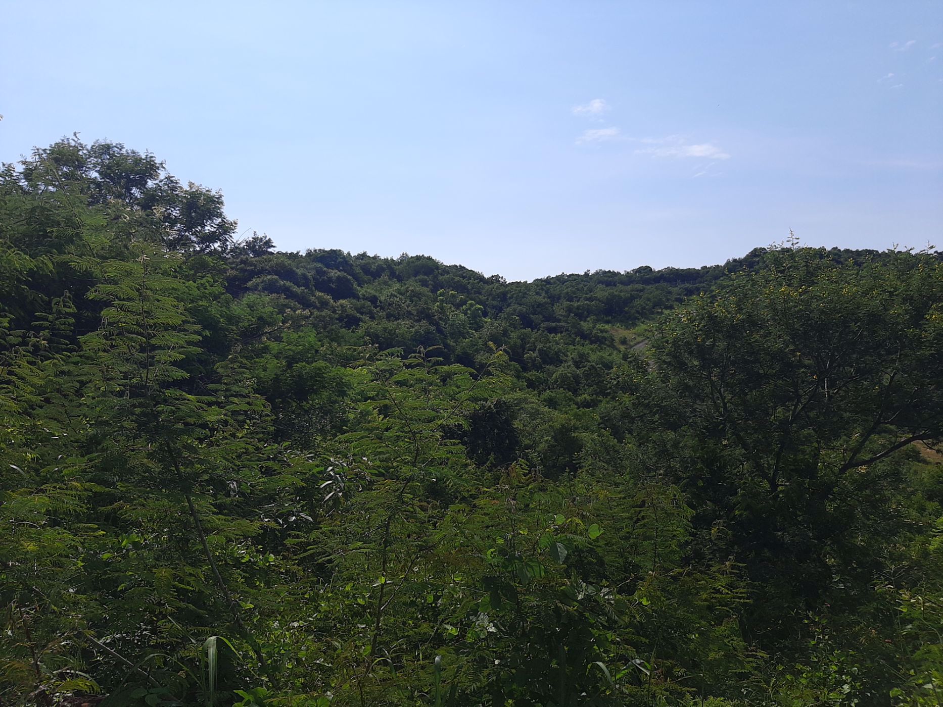 Vacant land for sale in Drum Rock - 1NS1568454