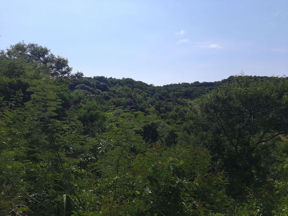 Vacant land for sale in Drum Rock - 1NS1568454