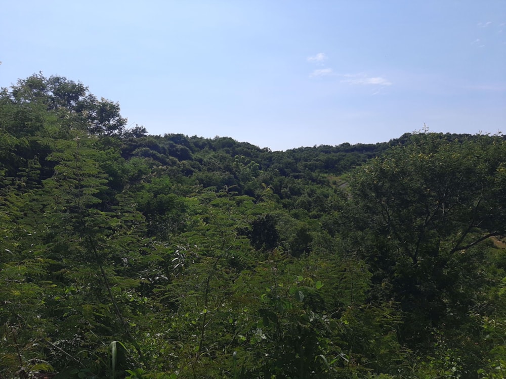 Vacant land for sale in Drum Rock - 1NS1568454 Vacant land for sale in Drum Rock - 1NS1568454