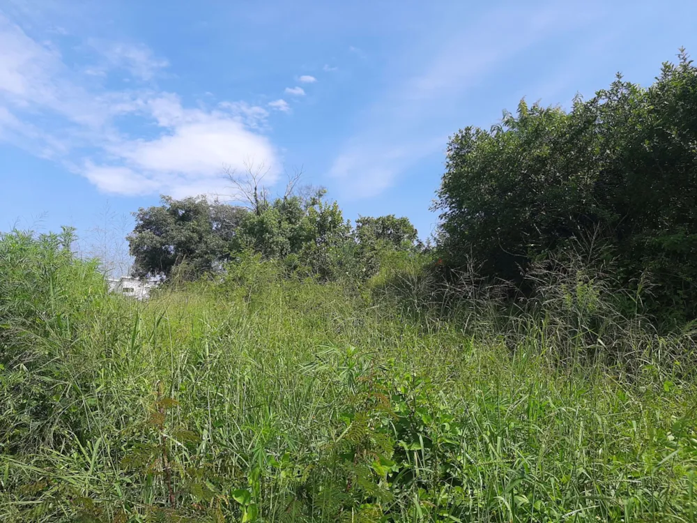 Vacant land for sale in Drum Rock - 1NS1568454