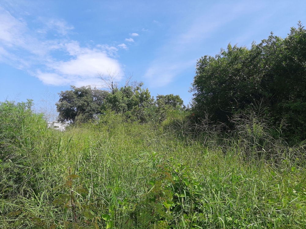 Vacant land for sale in Drum Rock - 1NS1568454 Vacant land for sale in Drum Rock - 1NS1568454