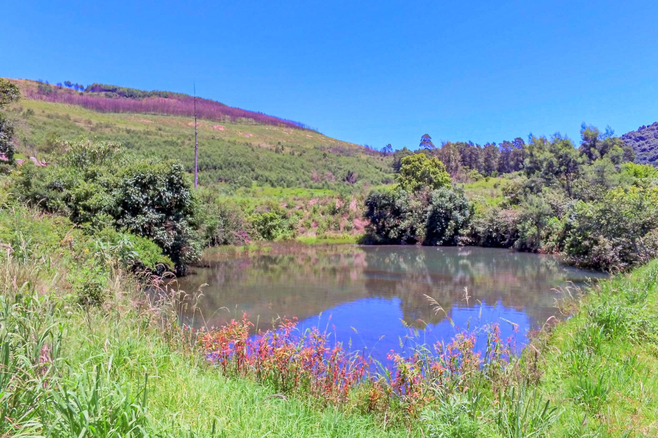 Smallholding for sale in Byrne - 1PM1721098