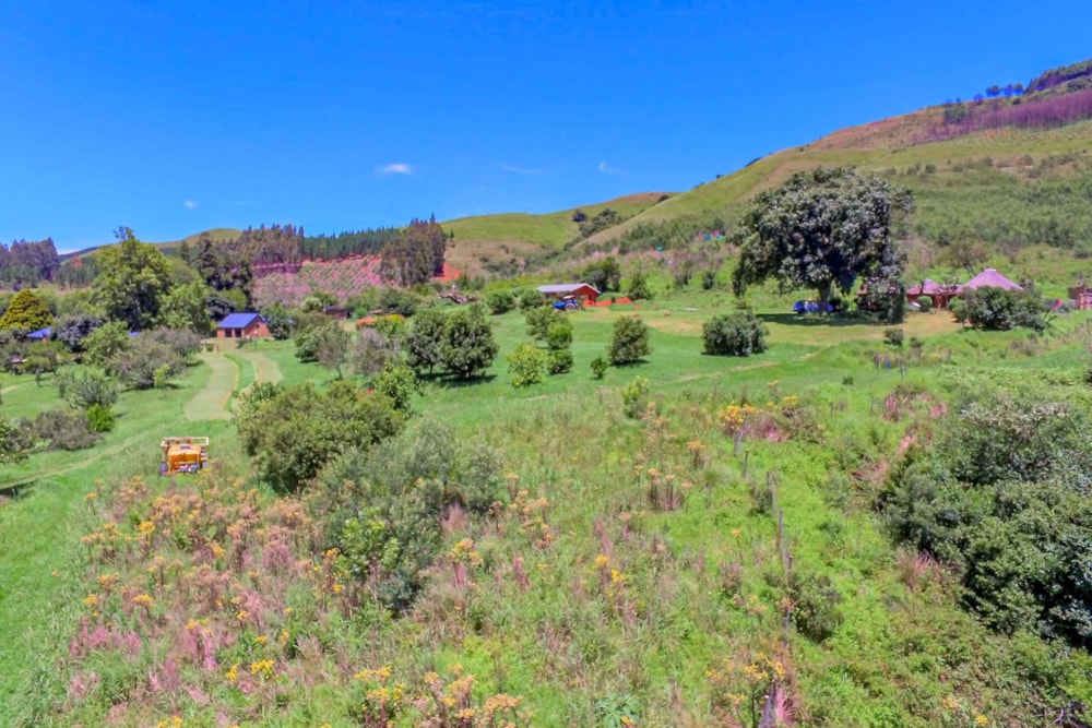 Smallholding for sale in Byrne - 1PM1721098 Smallholding for sale in Byrne - 1PM1721098