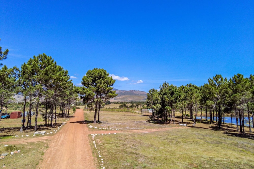 Mixed use farm for sale in Hermanus Rural - HF1690910 Mixed use farm for sale in Hermanus Rural - HF1690910