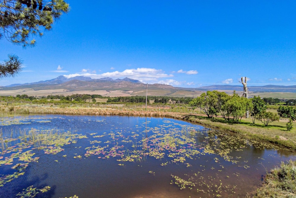 Mixed use farm for sale in Hermanus Rural - HF1690910 Mixed use farm for sale in Hermanus Rural - HF1690910