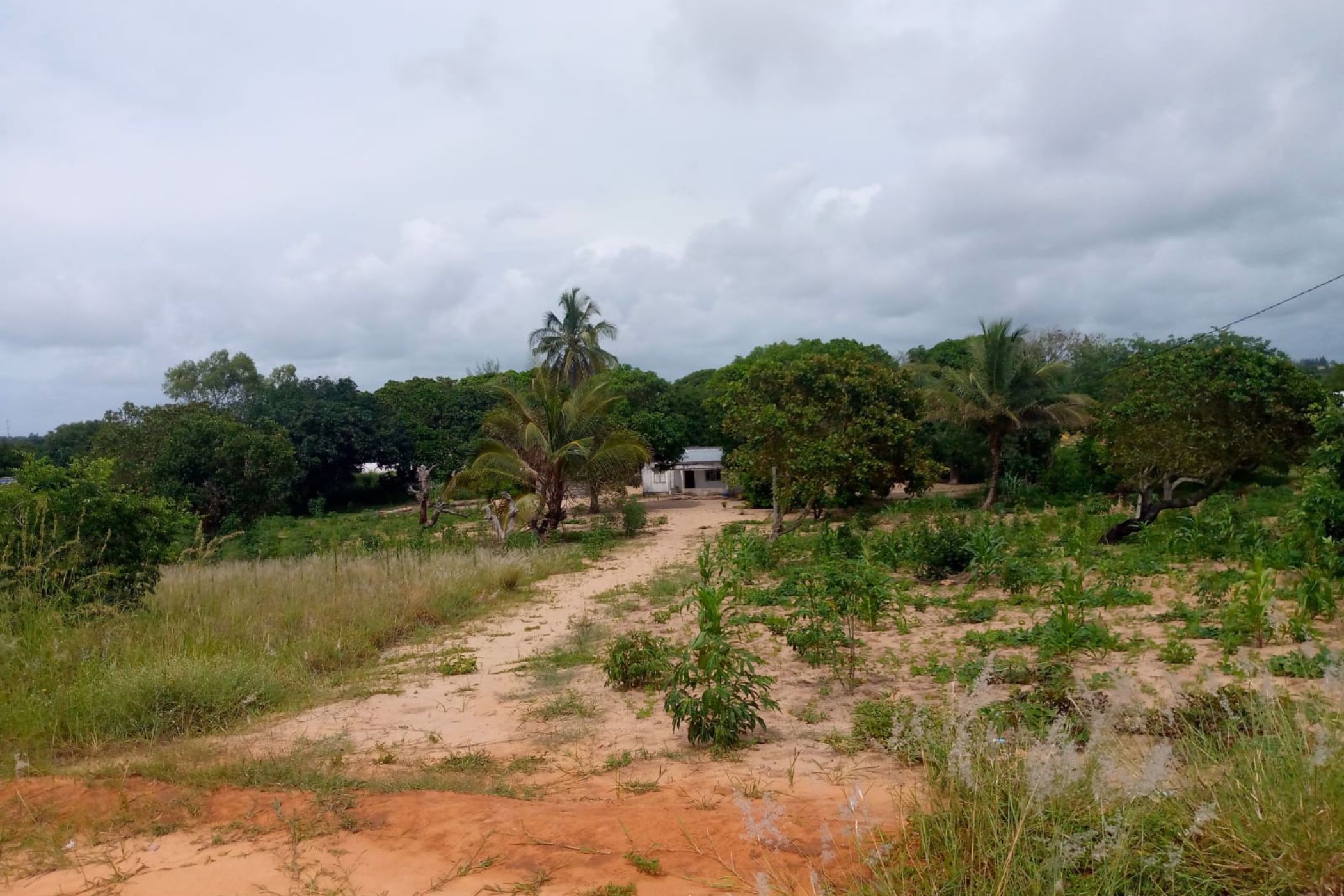 Vacant land for investment in Praia do Bilene, Gaza, Mozambique - 3MQ1557796