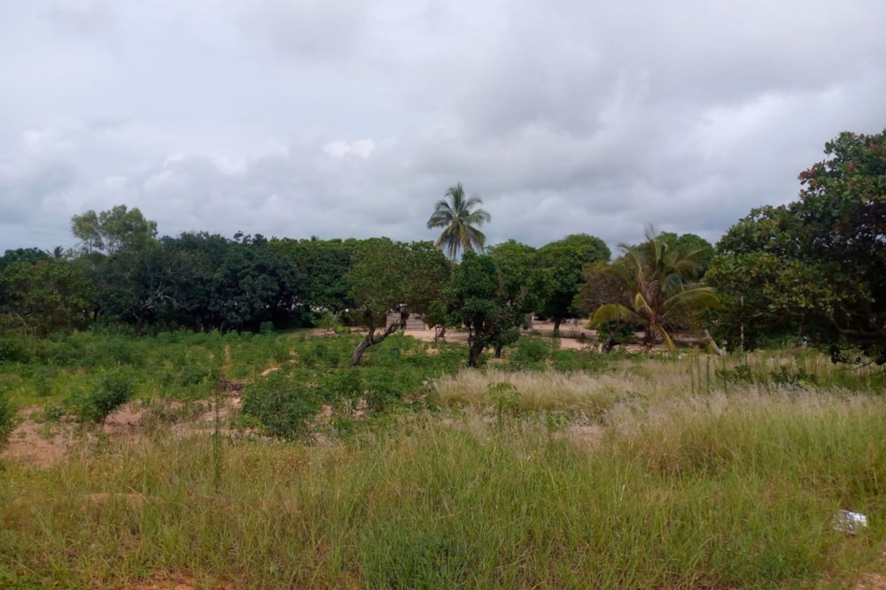 Vacant land for investment in Praia do Bilene, Gaza, Mozambique - 3MQ1557796 Vacant land for investment in Praia do Bilene, Gaza, Mozambique - 3MQ1557796