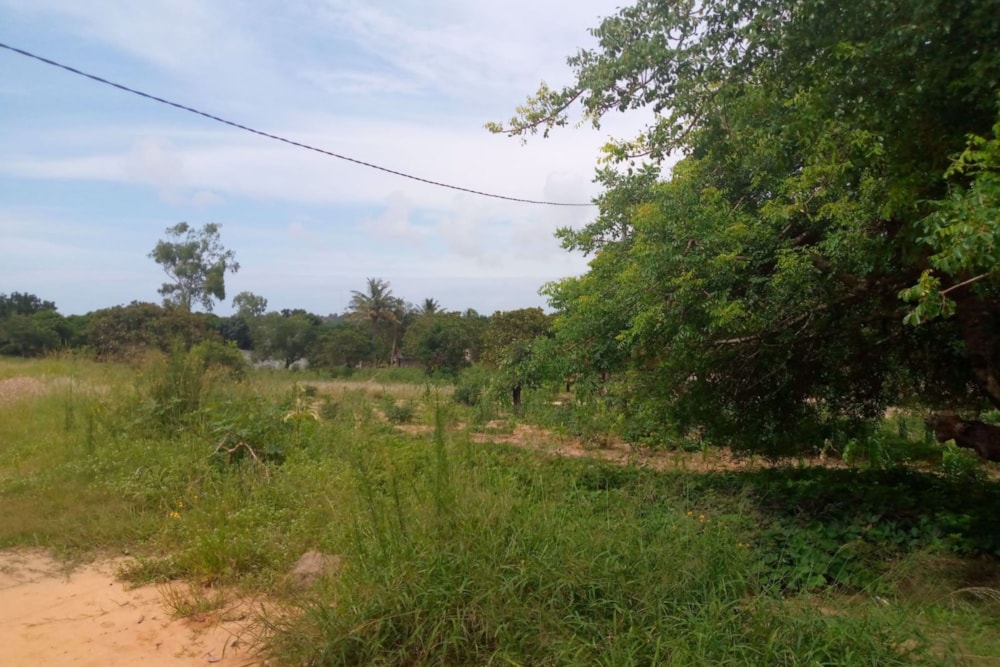 Vacant land for investment in Praia do Bilene, Gaza, Mozambique - 3MQ1557796 Vacant land for investment in Praia do Bilene, Gaza, Mozambique - 3MQ1557796