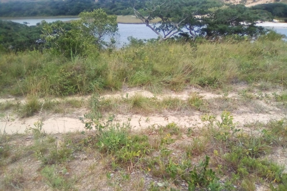 Vacant land for investment in Praia do Bilene, Gaza, Mozambique - 3MQ1557779 Vacant land for investment in Praia do Bilene, Gaza, Mozambique - 3MQ1557779