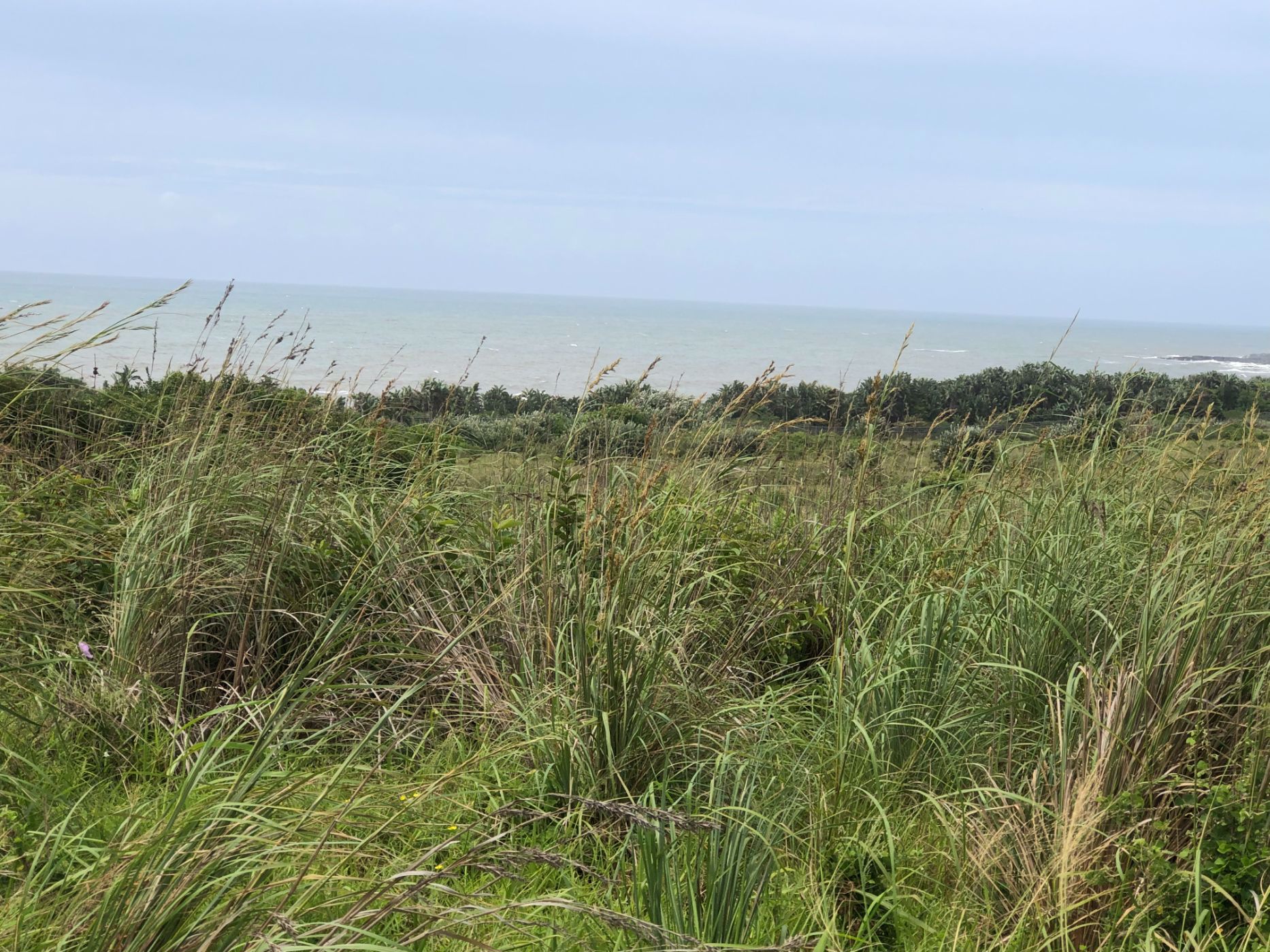 Residential vacant land for sale in Leisure Bay - 1PD1556648