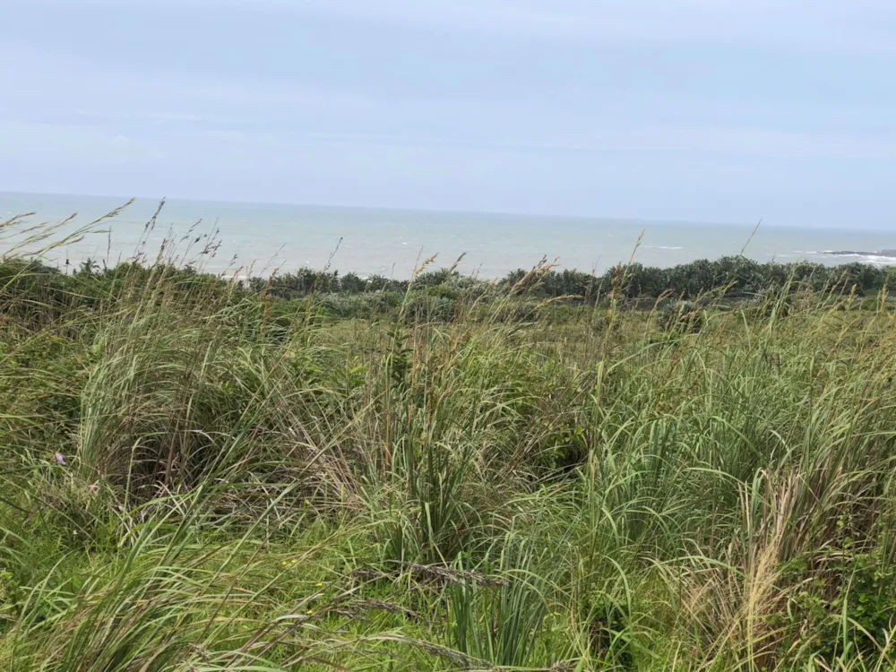 Residential vacant land for sale in Leisure Bay - 1PD1556648