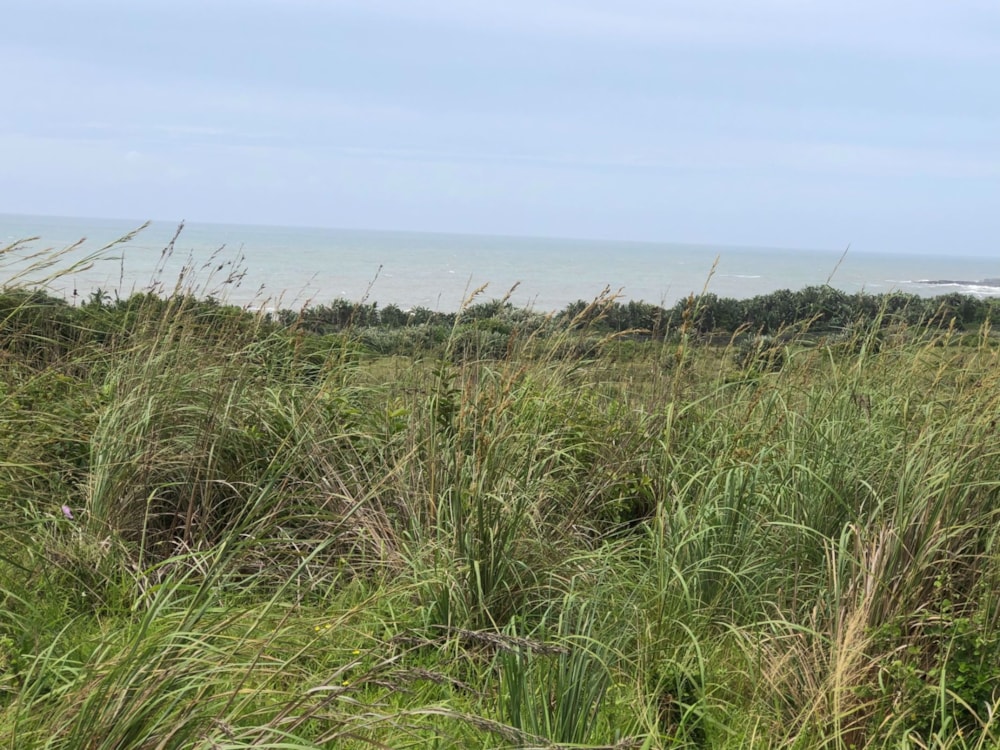 Residential vacant land for sale in Leisure Bay - 1PD1556648