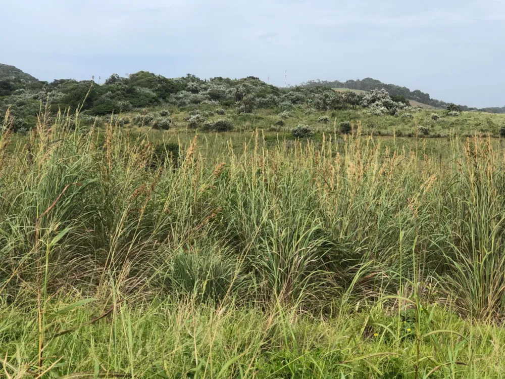 Residential vacant land for sale in Leisure Bay - 1PD1556648