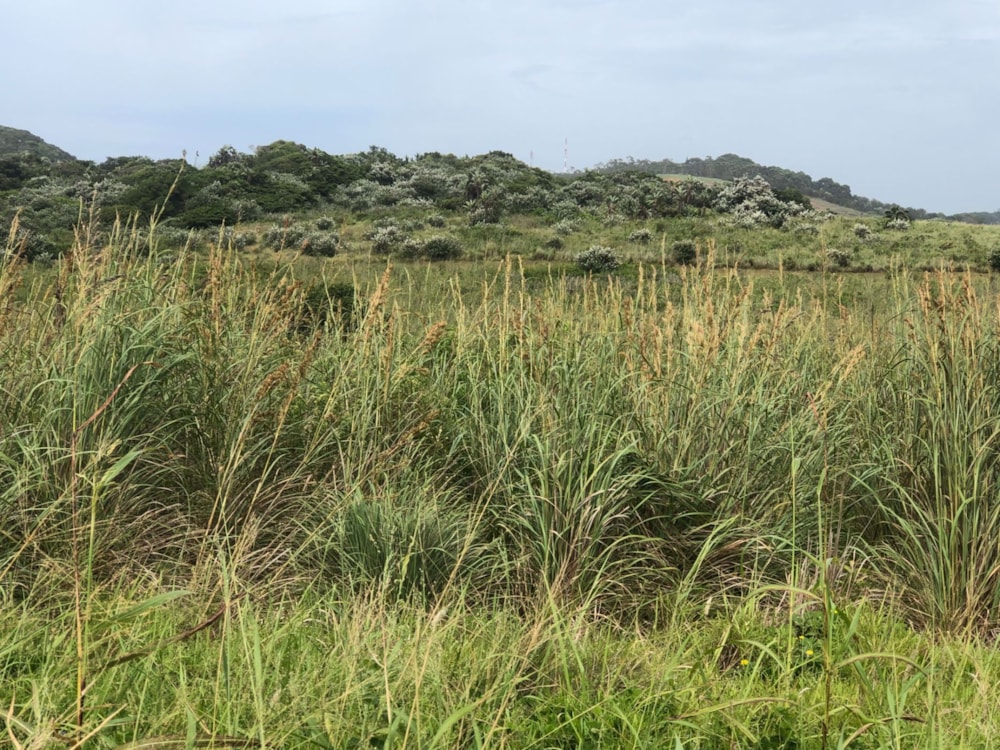 Residential vacant land for sale in Leisure Bay - 1PD1556648