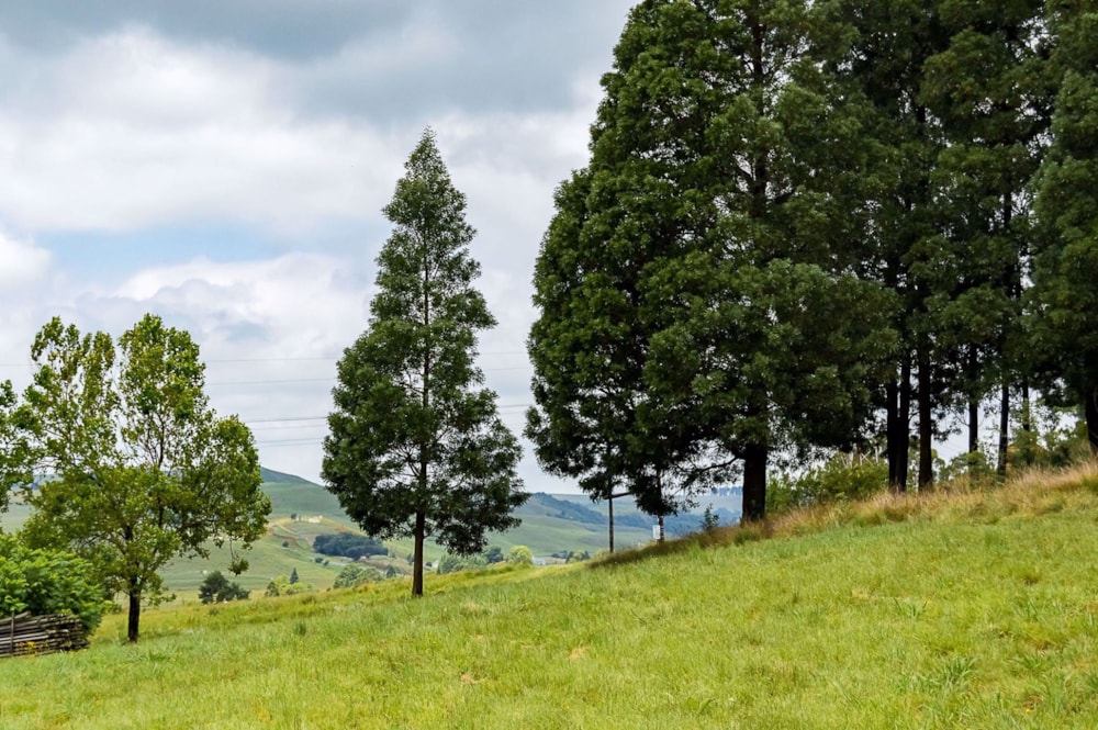 Vacant land for sale in Nottingham Road - 1PM1556974