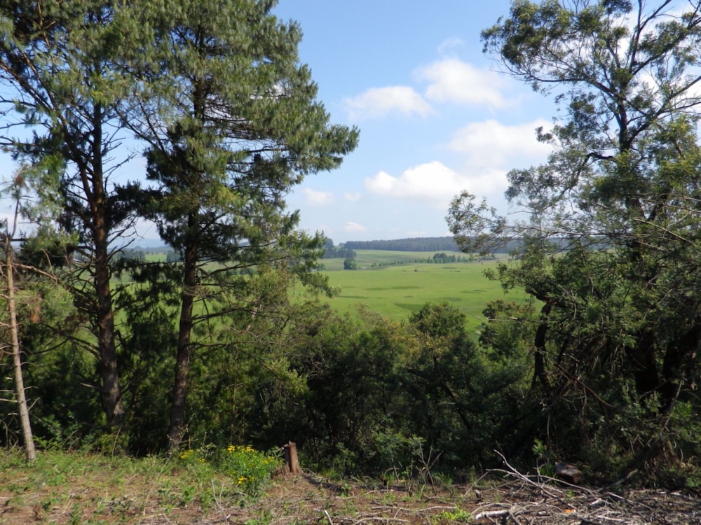 Vacant land for sale in Nottingham Road - 1PM1556974