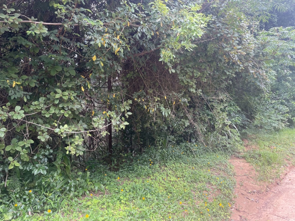 Residential vacant land for sale in Ramsgate - 1PD1557425 Residential vacant land for sale in Ramsgate - 1PD1557425