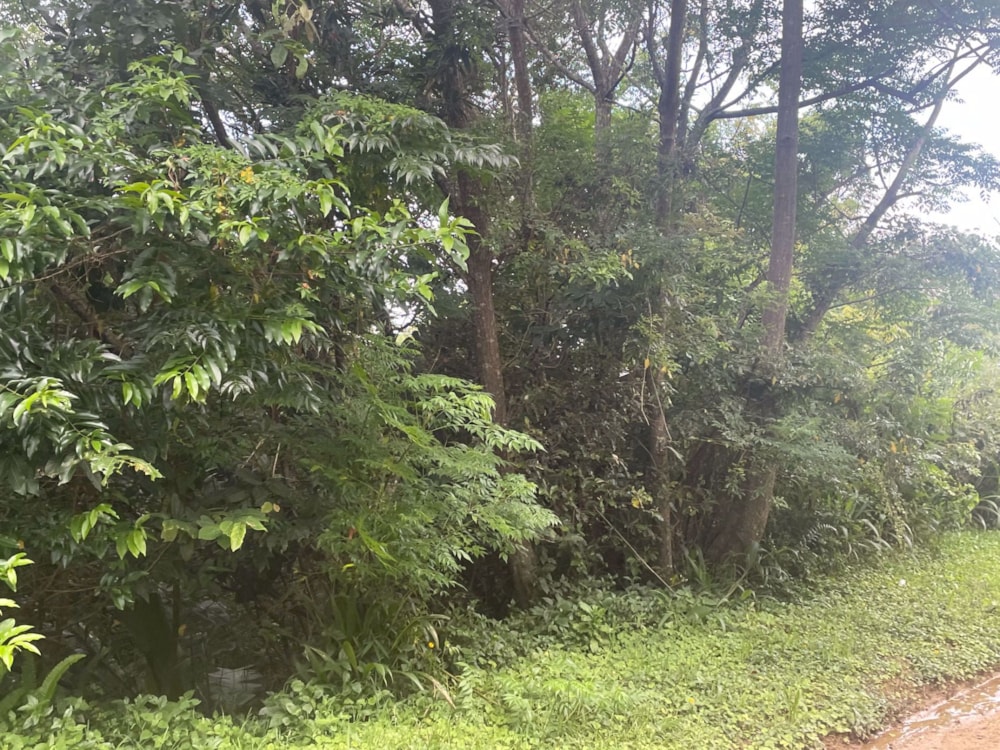 Residential vacant land for sale in Ramsgate - 1PD1557425