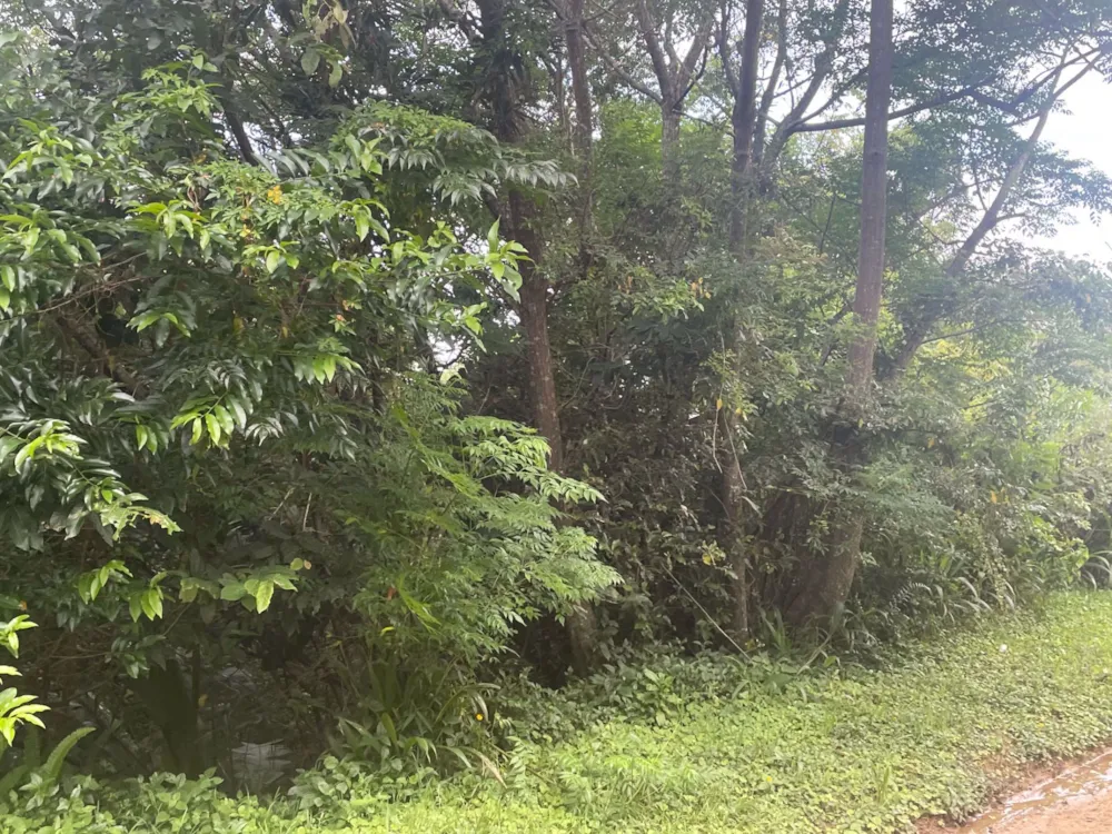 Residential vacant land for sale in Ramsgate - 1PD1557425 Residential vacant land for sale in Ramsgate - 1PD1557425