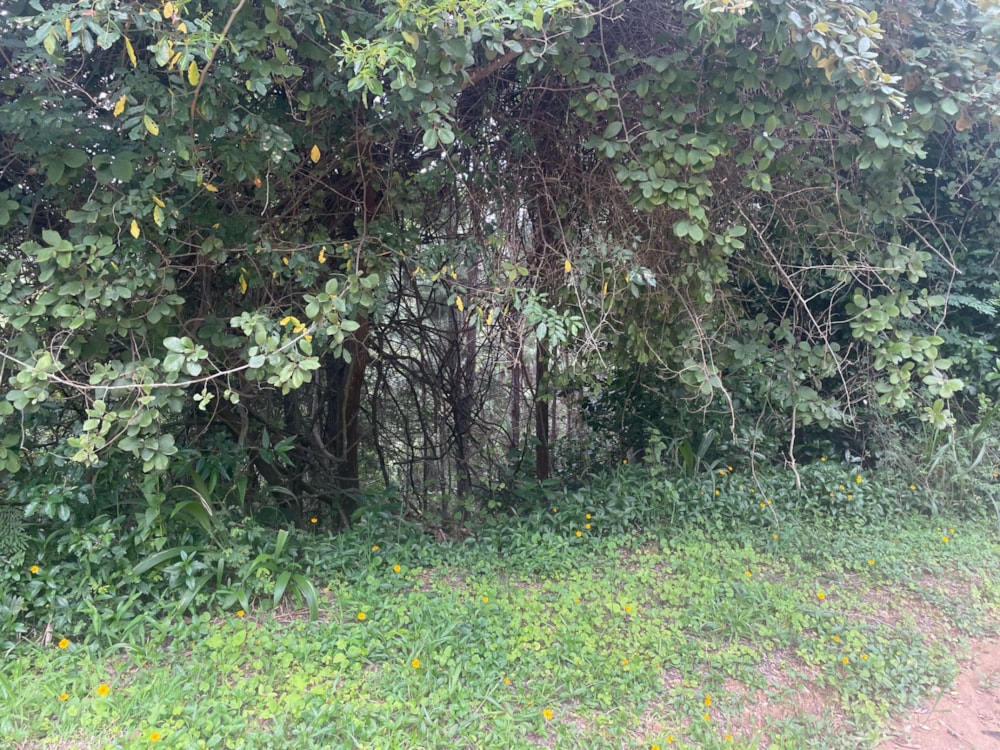 Residential vacant land for sale in Ramsgate - 1PD1557425 Residential vacant land for sale in Ramsgate - 1PD1557425