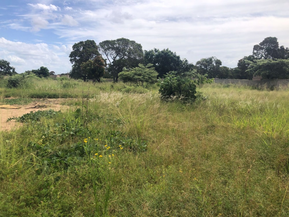 Cottage for sale in Catembe, Mozambique - 3MQ1558471