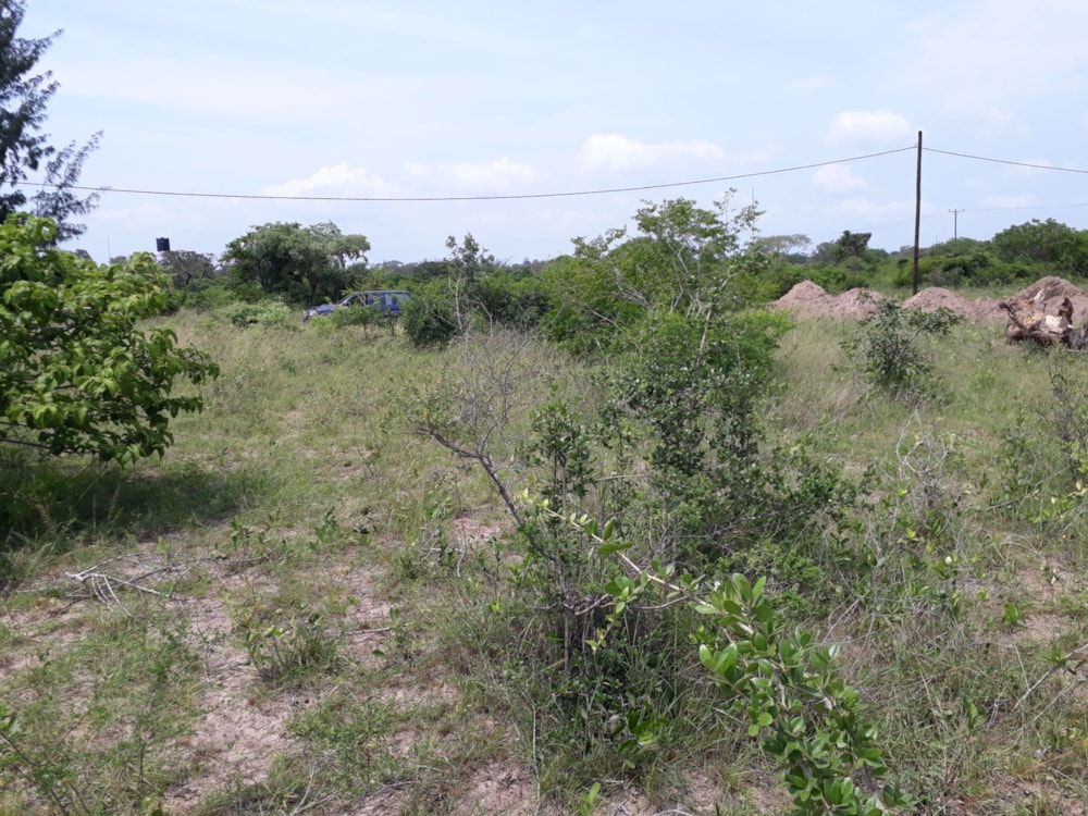 Cottage for sale in Catembe, Mozambique - 3MQ1558471