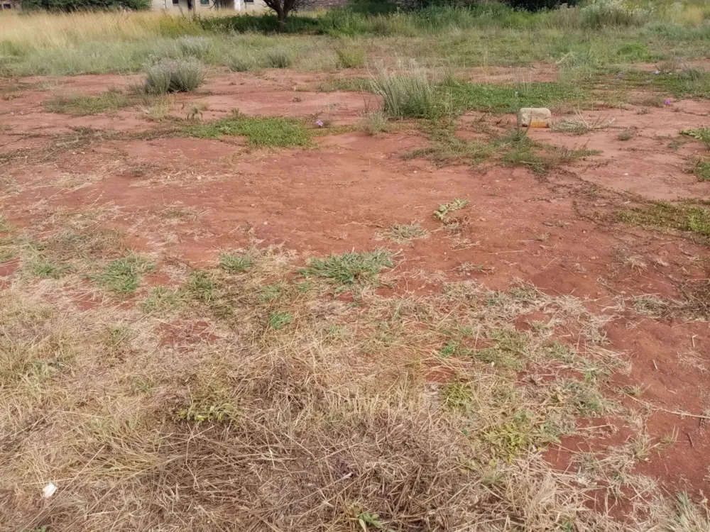 Vacant land for sale in Serela View - 1PS1680484