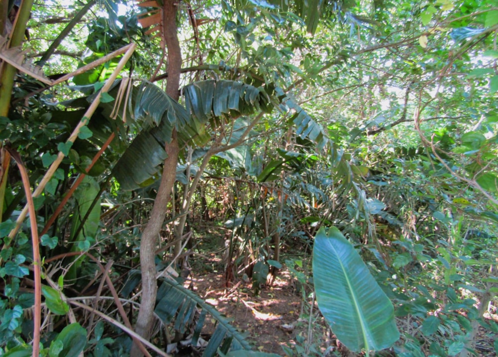 Residential vacant land for sale in Banners Rest - 1PD1558764