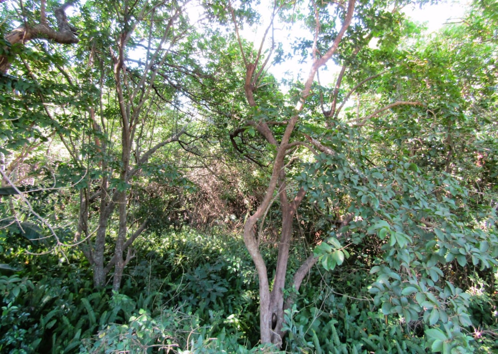 Residential vacant land for sale in Banners Rest - 1PD1558764 Residential vacant land for sale in Banners Rest - 1PD1558764