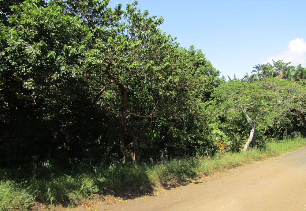 Residential vacant land for sale in Banners Rest - 1PD1558764