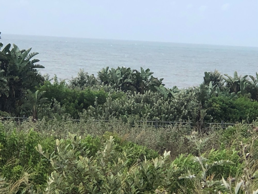 Residential vacant land for sale in Leisure Bay - 1PD1331909