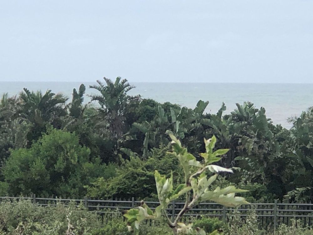 Residential vacant land for sale in Leisure Bay - 1PD1331909 Residential vacant land for sale in Leisure Bay - 1PD1331909