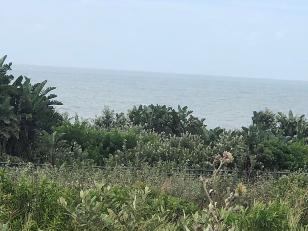 Residential vacant land for sale in Leisure Bay - 1PD1331909 Residential vacant land for sale in Leisure Bay - 1PD1331909