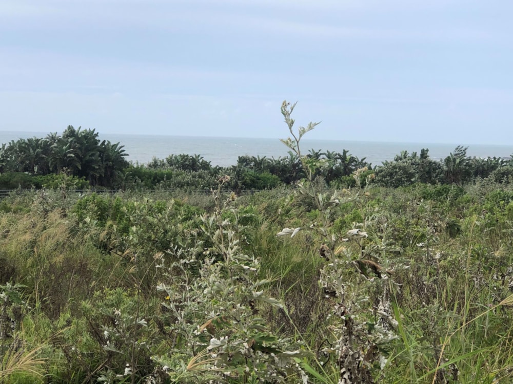 Residential vacant land for sale in Leisure Bay - 1PD1331909