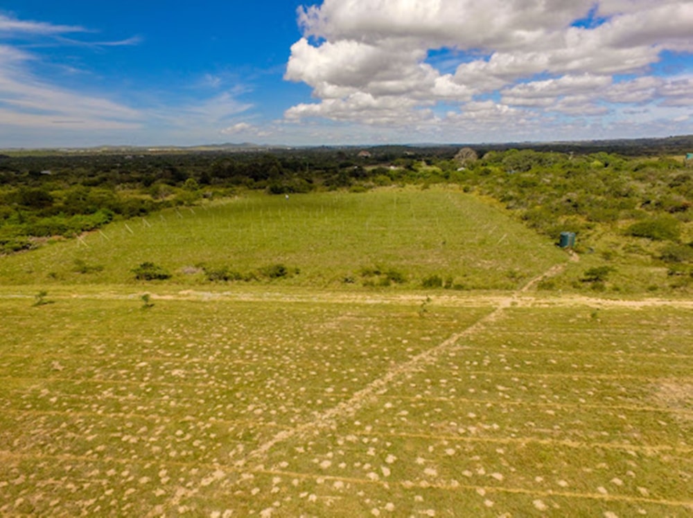 Aquaculture farm for sale in Port Alfred - 1PF1560531