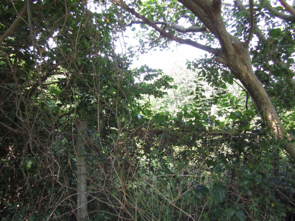 Vacant land for sale in Banners Rest - 1PD1025228