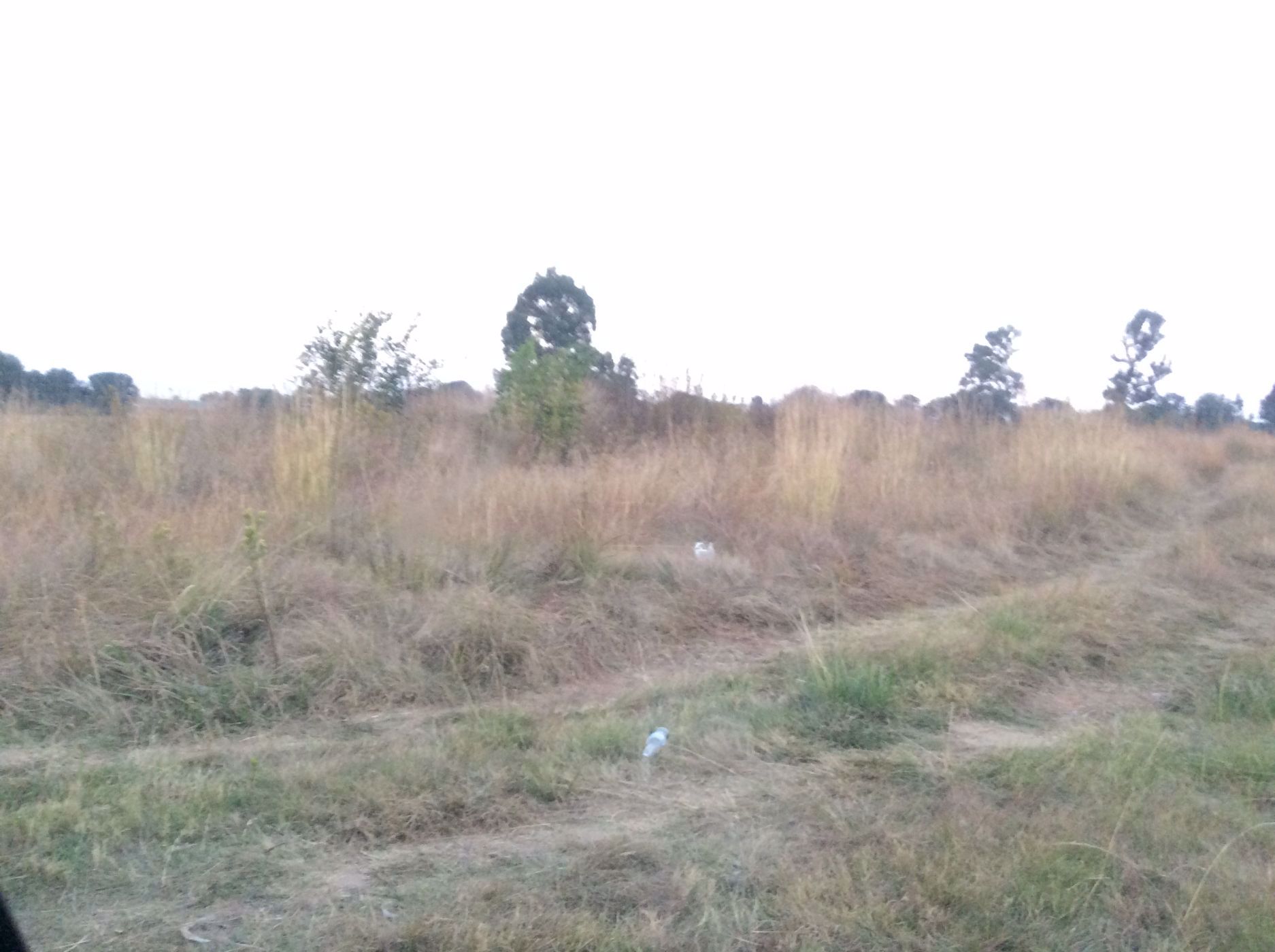 Residential vacant land for sale in Krugersrus - 1SP1527295