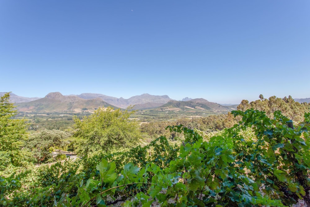 Wine farm sold in Franschhoek Rural - FWI1686055