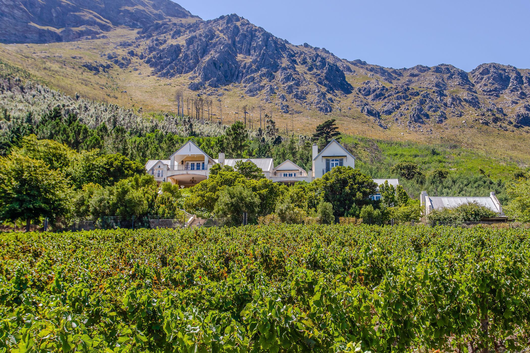 Wine farm sold in Franschhoek Rural - FWI1686055