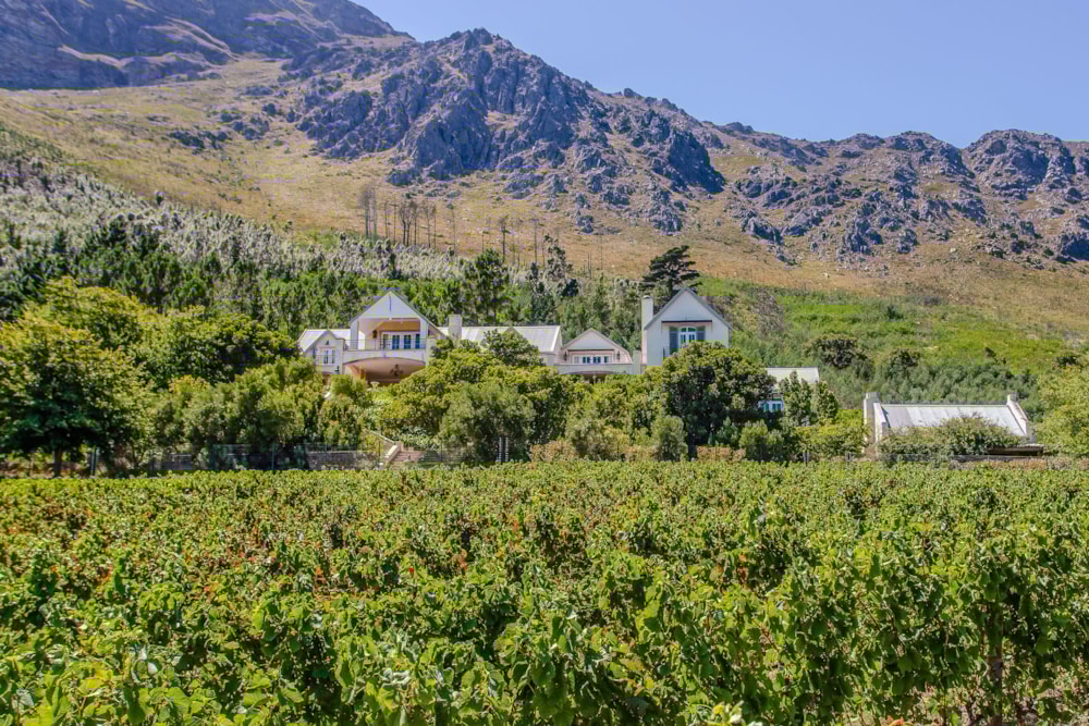 Wine farm sold in Franschhoek Rural - FWI1686055