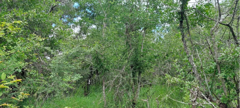 Vacant land for sale in Moditlo Nature Reserve - 1HS1639202