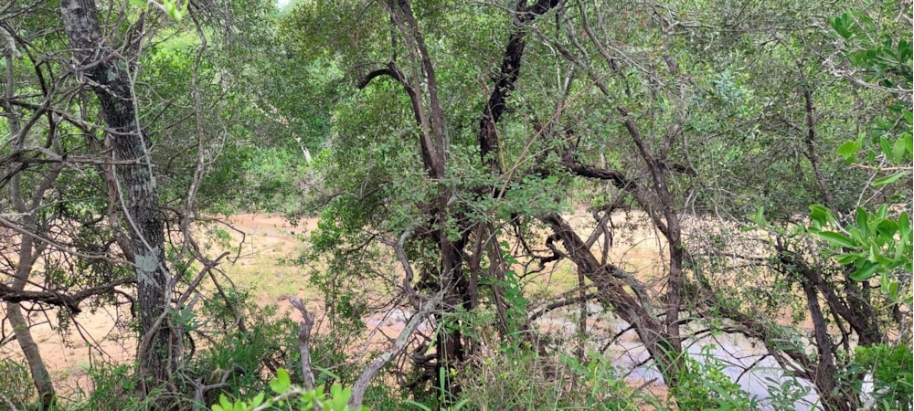 Vacant land for sale in Moditlo Nature Reserve - 1HS1639202 Vacant land for sale in Moditlo Nature Reserve - 1HS1639202