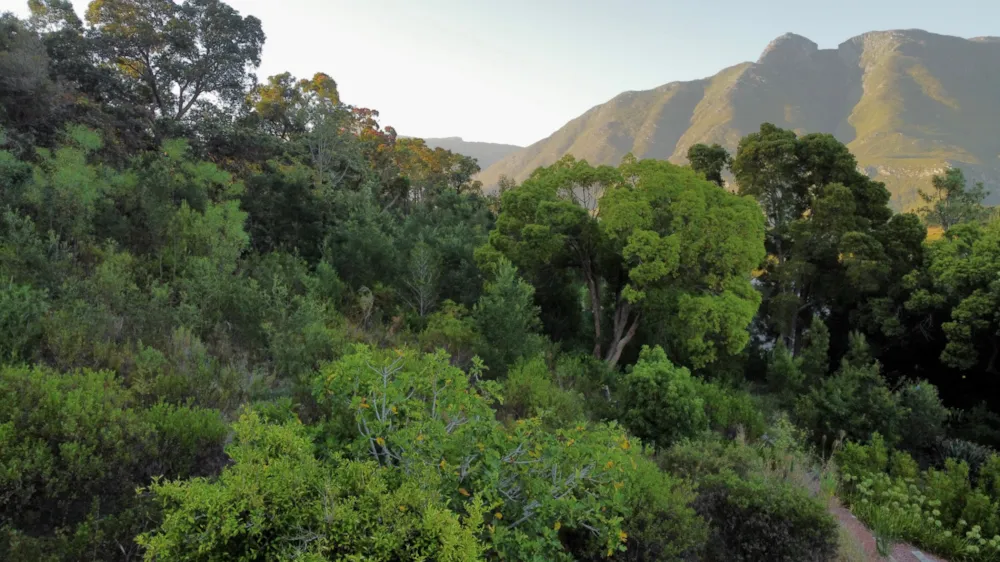Vacant land for sale in Swellendam - 1SW1697880