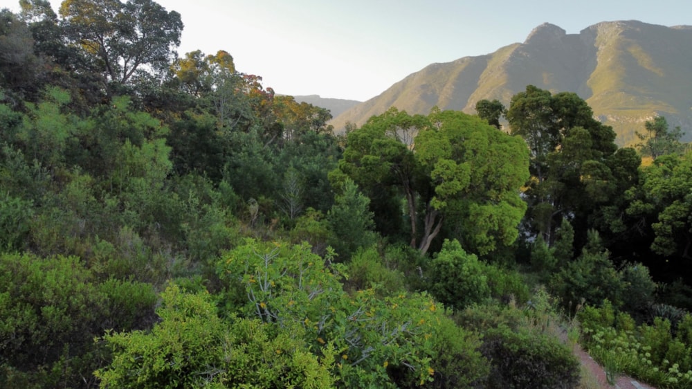 Vacant land for sale in Swellendam - 1SW1697880 Vacant land for sale in Swellendam - 1SW1697880