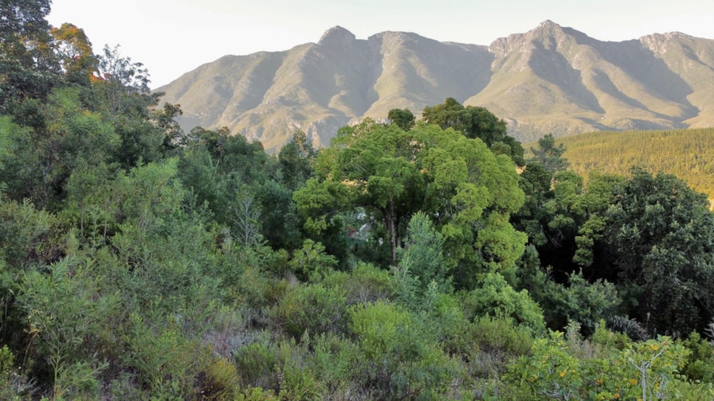 Vacant land for sale in Swellendam - 1SW1697880