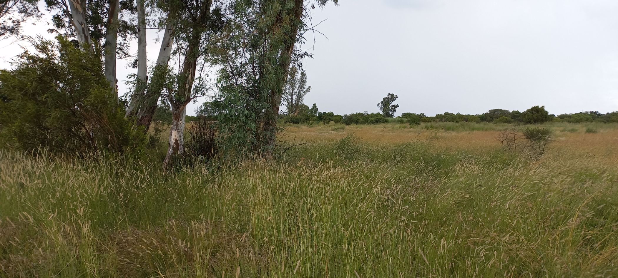 Residential vacant land for sale in Swartruggens - 1RU1560340