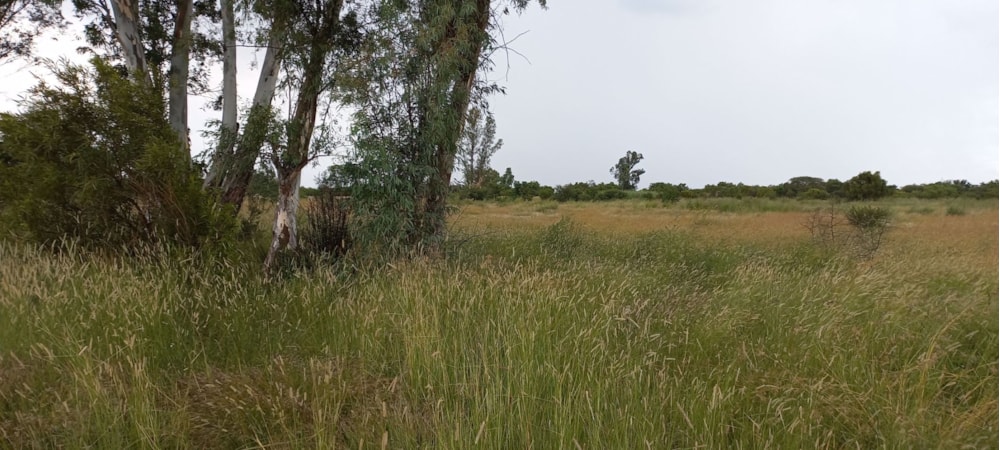 Residential vacant land for sale in Swartruggens - 1RU1560340