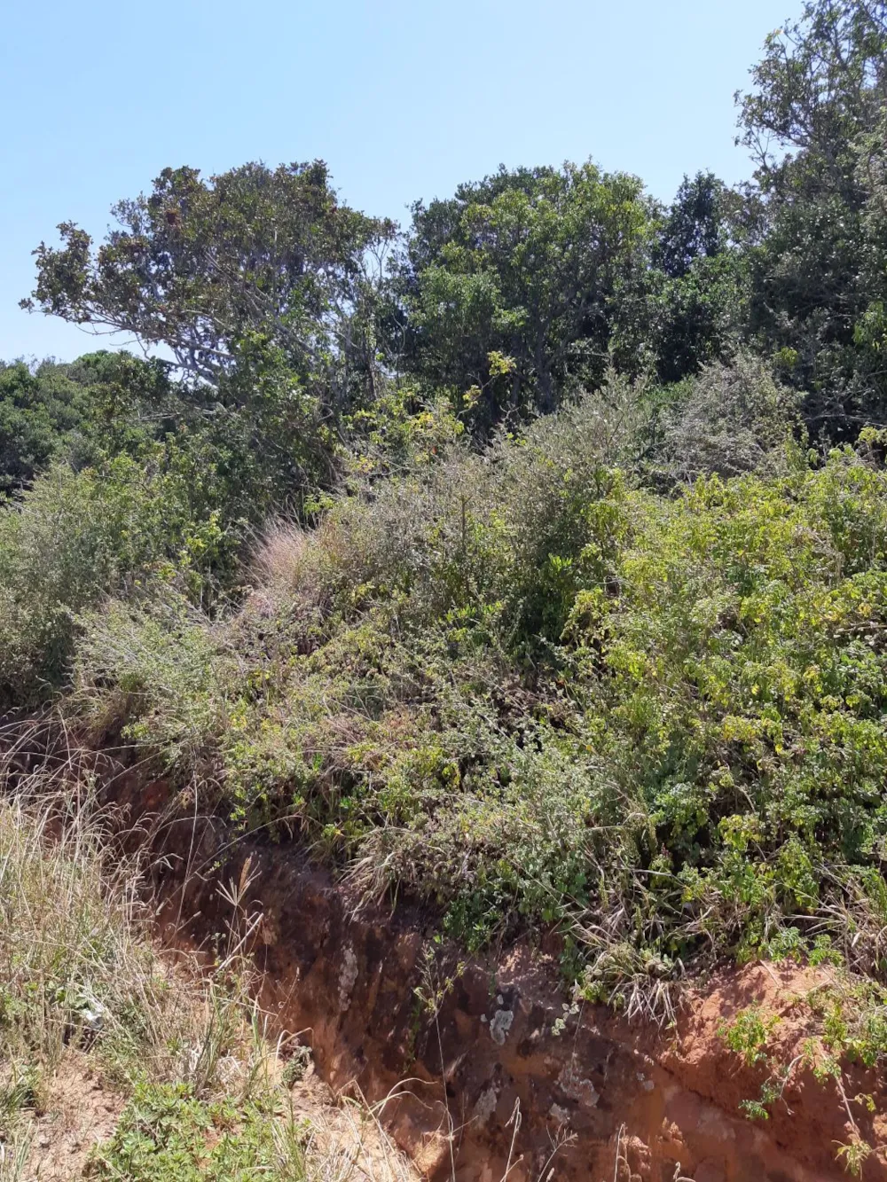 Vacant land for sale in Kenton on Sea - 1KO1561098